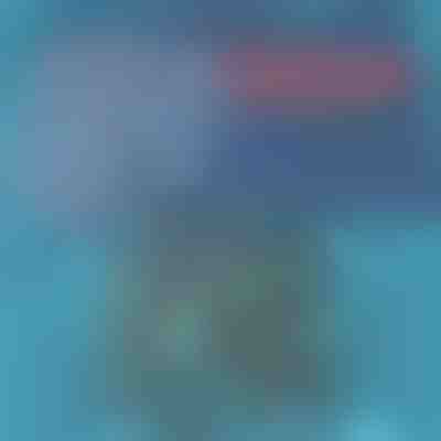 Lehké a rychleschnoucí plavky pro muže | TOGGIES