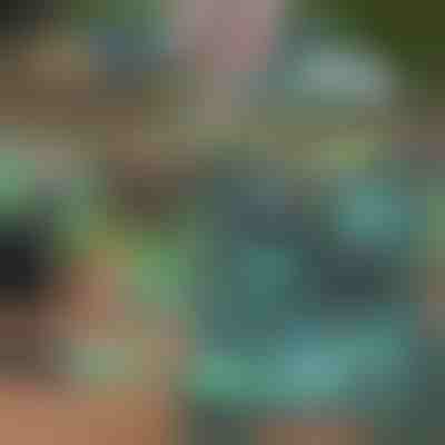 Zahradnická sada | GARDIKIT