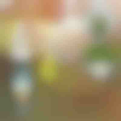 Tekuté hnojivo pro rostliny | PLANTBOOST