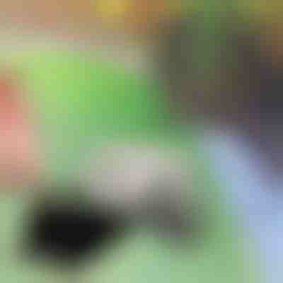 Skrytí klíče | KEYBLEND