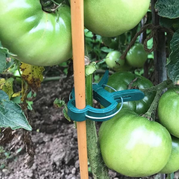 PLANTPIN15400
