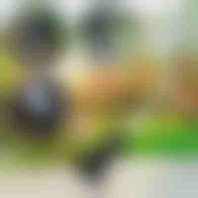 Zahradní nářadí 3 v 1 | VERSAX