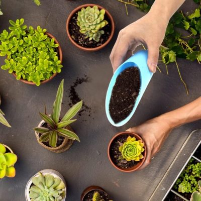 Nabírání půdy | SCUP