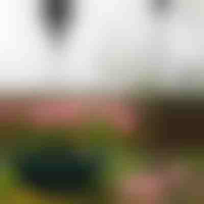 Výsuvný věšák na rostliny | PLANTPULL