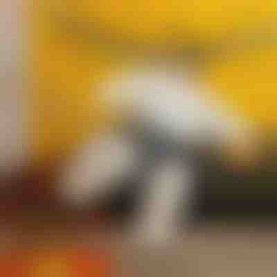 Nafukovací sumo kostým | SUMOCOS