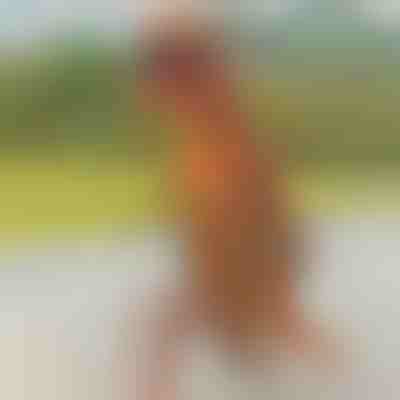 Nafukovací kostým dinosaura | TREXCOS