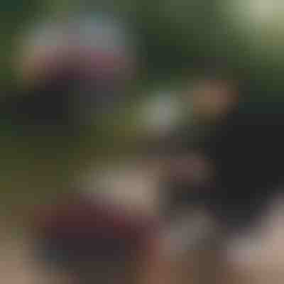 Skládací rybářské vědro | RIBETINA