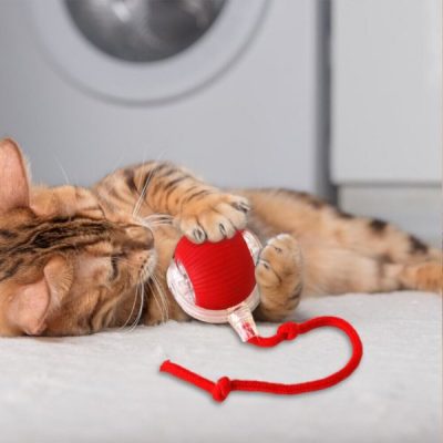 Hračka pro domácí mazlíčky, která se pohybuje na dotek | GATOPLAY