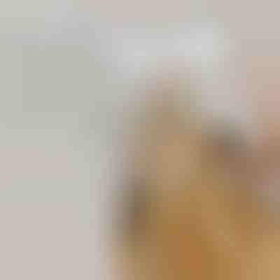 Dobíjecí parní kartáč s rozprašovačem na línání | GROOMSY