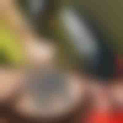 Náhradní řetěz pro motorovou pilu | BRENCHIECHAIN