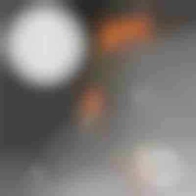 Balení 50 extra hřebíků | MORENAILS