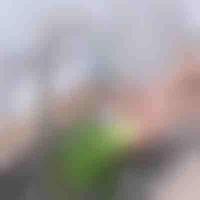 Pokročilý uhlíkový filtr na kohoutek | CHARFILTER