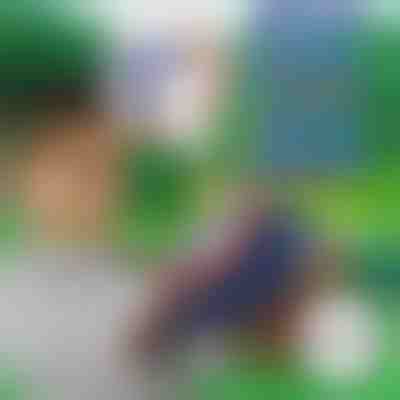 10+10 PĚNOVÝCH ŠÍPŮ ZDARMA pro BLASTKID | F2OAMBULLETS