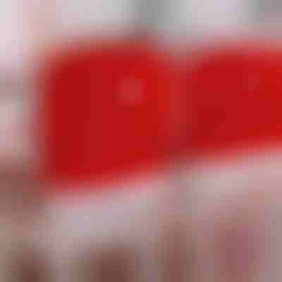 Slavnostní potahy na židle 4x | SANTASEAT